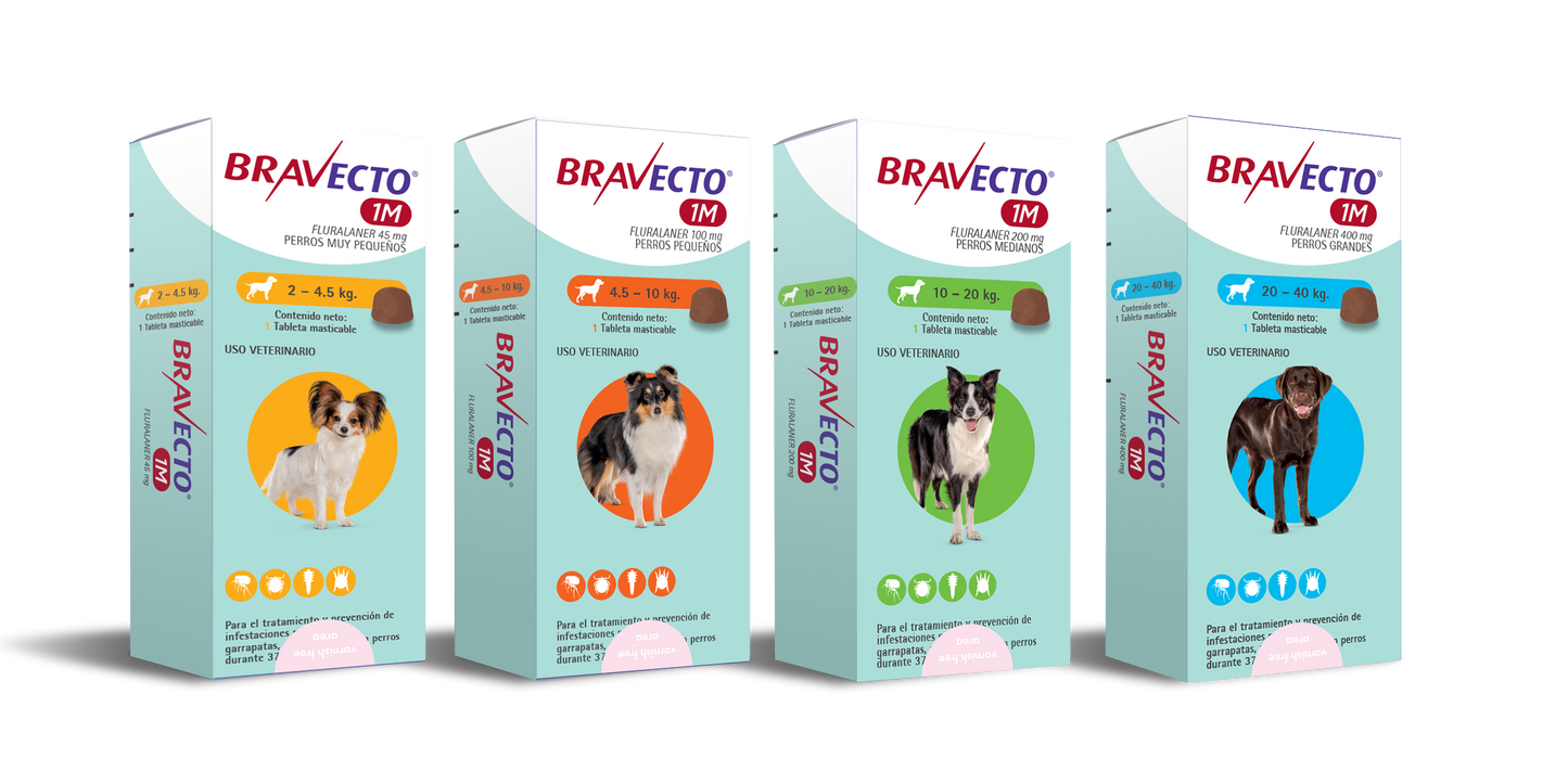 Bravecto 1M